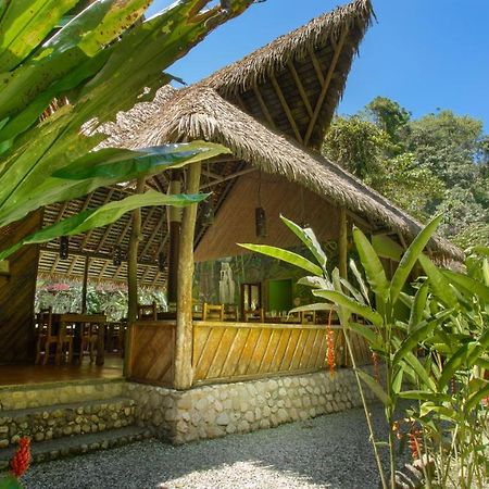 Esquinas Rainforest Lodge غولفيتو المظهر الخارجي الصورة