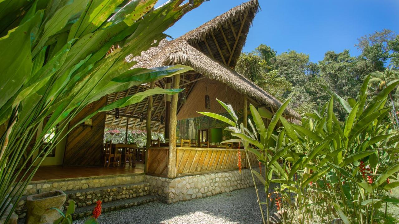 Esquinas Rainforest Lodge غولفيتو المظهر الخارجي الصورة