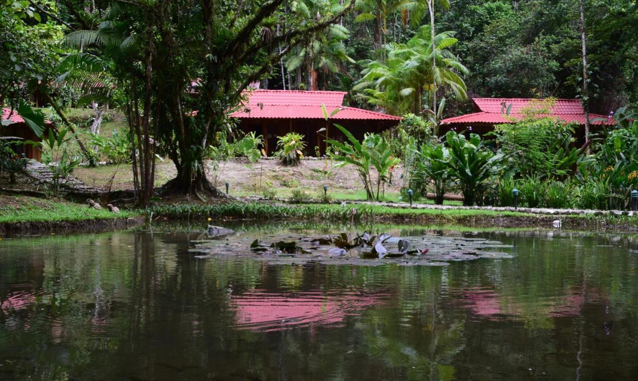 Esquinas Rainforest Lodge غولفيتو المظهر الخارجي الصورة