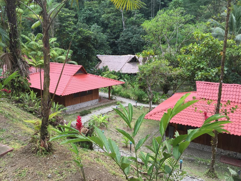 Esquinas Rainforest Lodge غولفيتو المظهر الخارجي الصورة