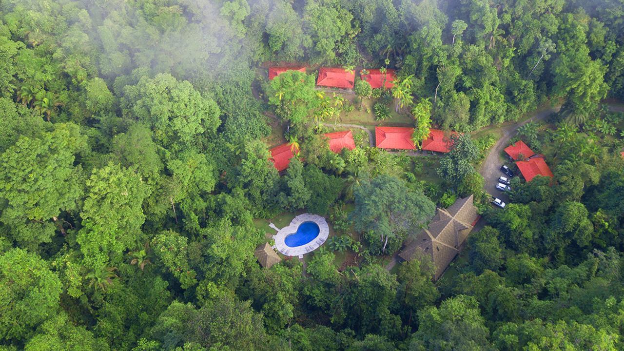 Esquinas Rainforest Lodge غولفيتو المظهر الخارجي الصورة