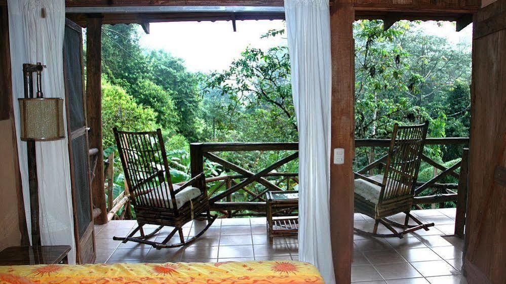 Esquinas Rainforest Lodge غولفيتو المظهر الخارجي الصورة