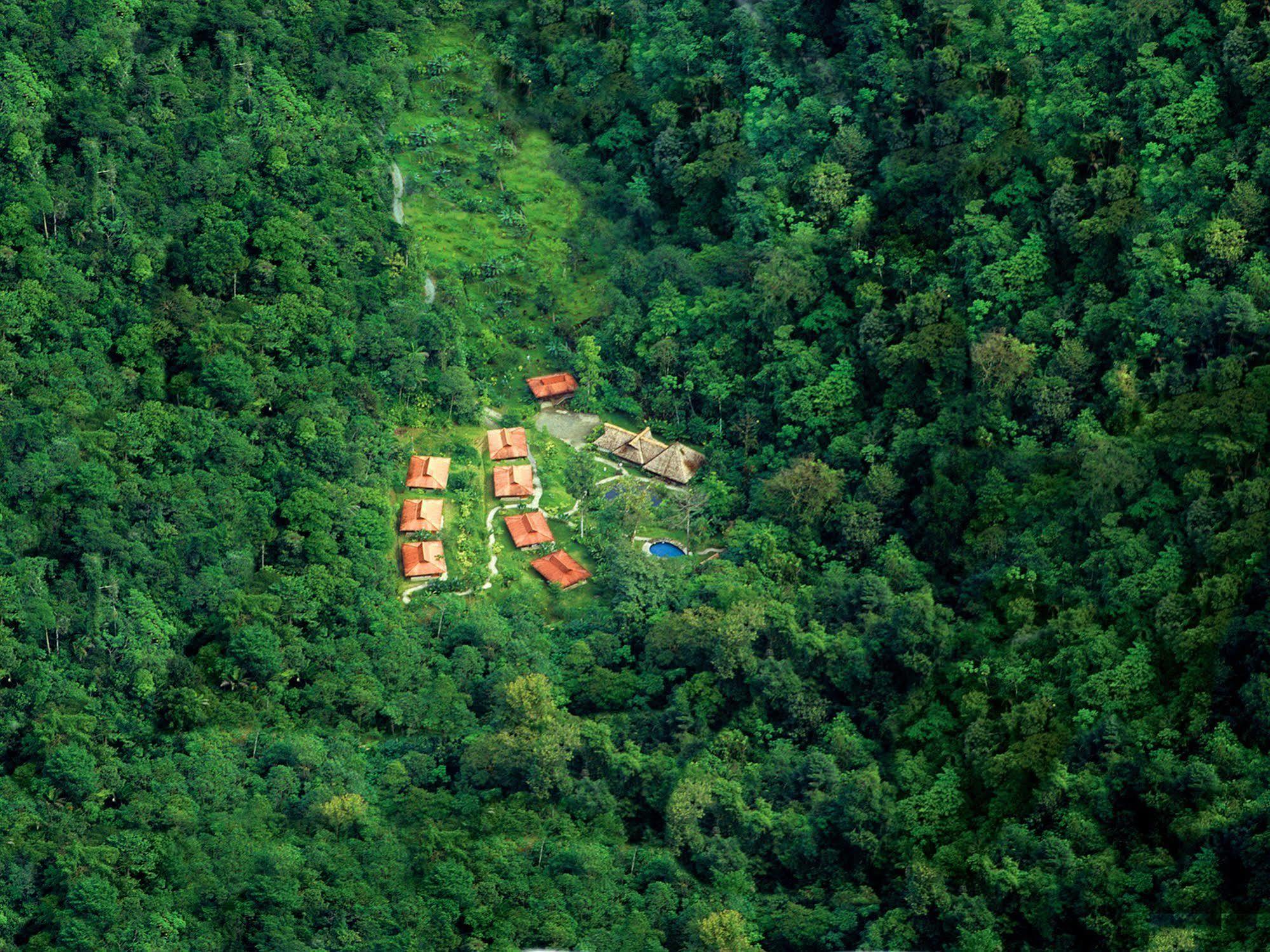 Esquinas Rainforest Lodge غولفيتو المظهر الخارجي الصورة