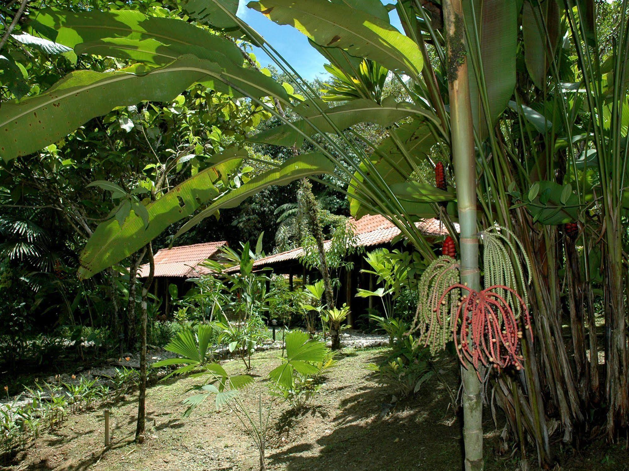 Esquinas Rainforest Lodge غولفيتو المظهر الخارجي الصورة