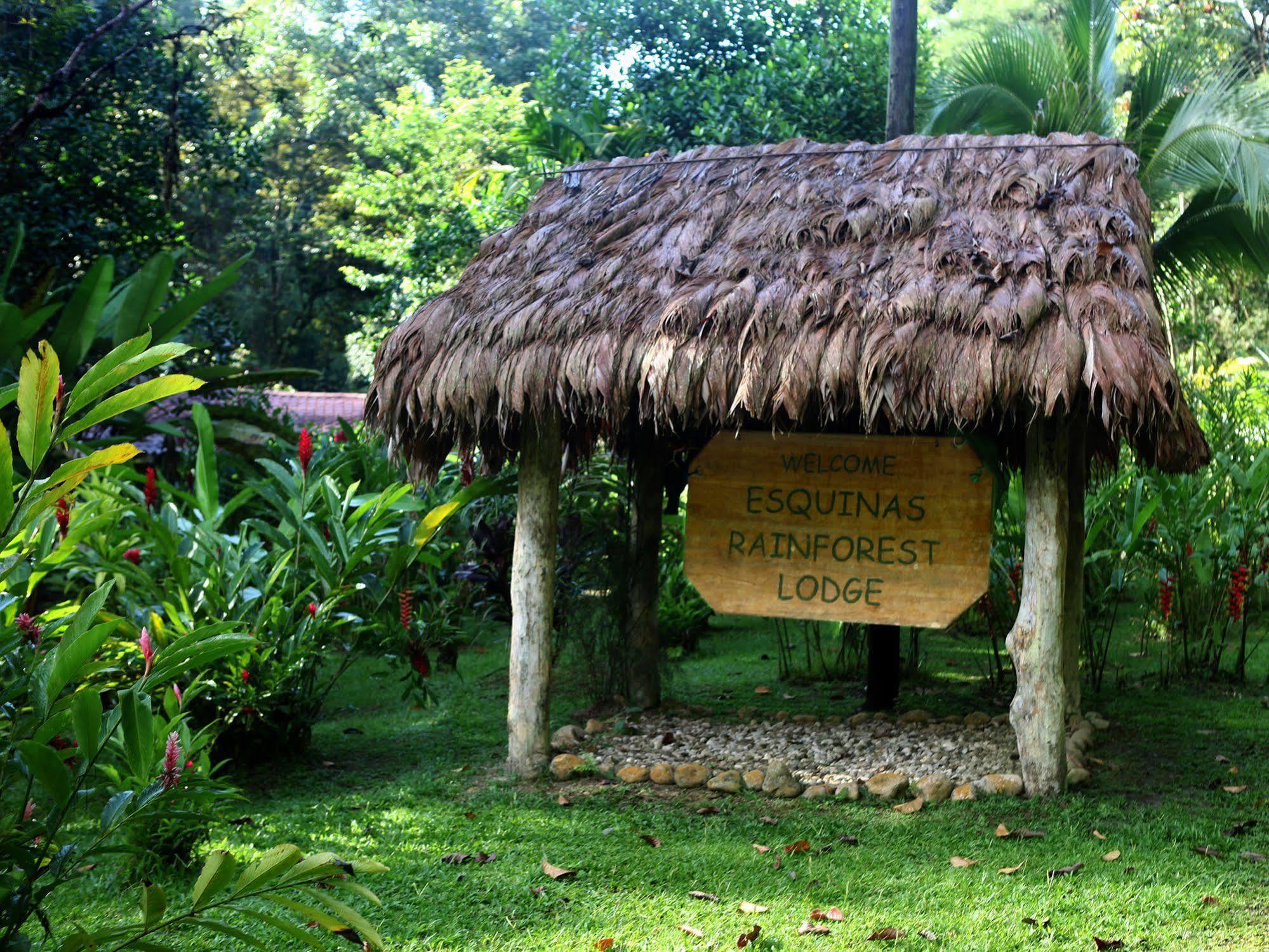 Esquinas Rainforest Lodge غولفيتو المظهر الخارجي الصورة